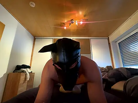 PlayDog123 online show from January 2026 01:49:01 PM