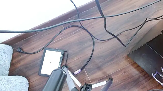 Snapshot of Aurora_blossom__ chatting on December 2024 12:22:02 PM Aurora blossom online show from December 2024 12:22:02 PM