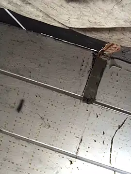 Snapshot of macg96 chatting on December 2024 08:34:02 AM macg96 online show from December 2024 08:34:02 AM