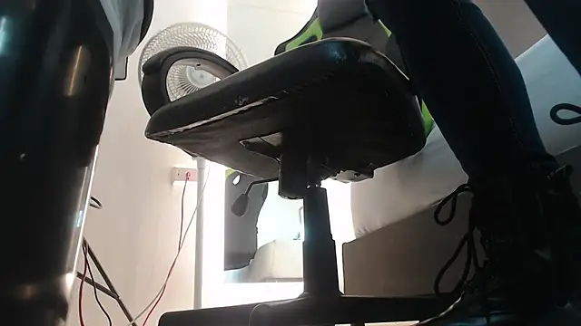 alma fenix online show from February 2025 12:17:02 PM