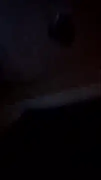 Snapshot of Mcpiney chatting on October 2025 07:27:02 AM Mcpiney online show from October 2025 07:27:02 AM