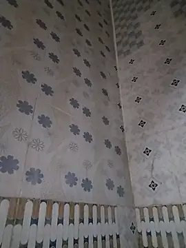 Snapshot of Arisha- chatting on October 2025 07:00:01 PM Arisha- online show from October 2025 07:00:01 PM