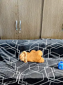 Snapshot of indian_yourshreya69 chatting on March 2026 02:17:01 AM indian yourshreya69 online show from March 2026 02:17:01 AM