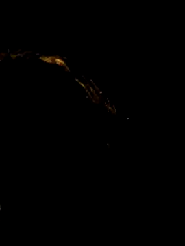 pleasure of life online show from April 2026 06:10:01 PM