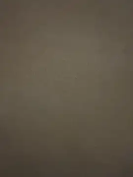 tuperrarica online show from January 2025 04:50:02 AM