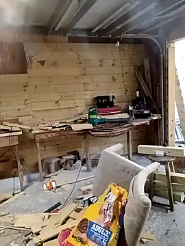 Buffshagswell online show from November 2025 04:06:01 PM