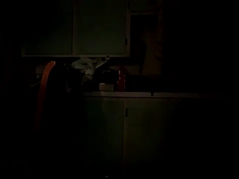 Snapshot of Frankdick01 chatting on October 2025 05:05:01 AM Frankdick01 online show from October 2025 05:05:01 AM