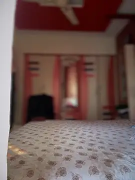 ved240 online show from December 2024 09:50:02 AM