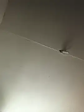 Snapshot of Ozomitro chatting on October 2025 02:35:02 PM Ozomitro online show from October 2025 02:35:02 PM