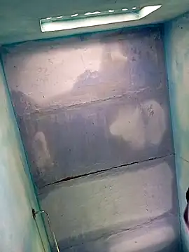 Andrapradesh online show from October 2025 08:58:01 AM