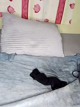 Snapshot of Anal_Fisting9 chatting on December 2024 11:36:01 PM Anal Fisting9 online show from December 2024 11:36:01 PM