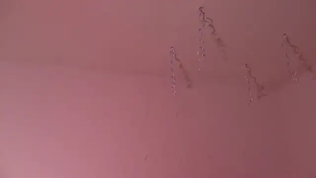 Miss oliviaa online show from January 2025 11:01:02 PM