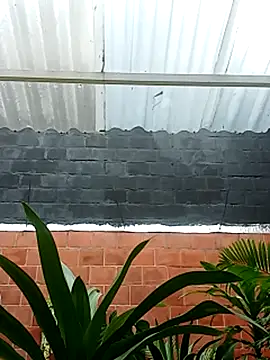 luchoarr online show from November 2025 12:59:01 PM