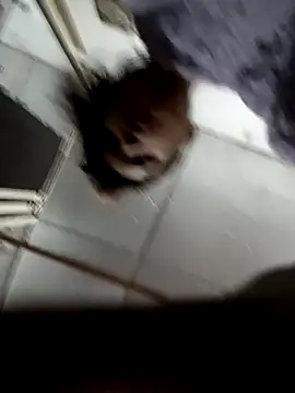 Snapshot of zoya_khan25 chatting on December 2024 02:42:02 PM zoya khan25 online show from December 2024 02:42:02 PM