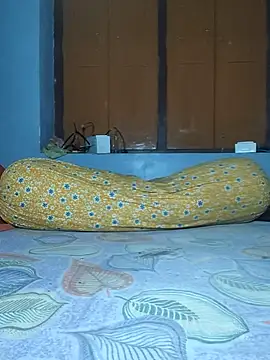 Snapshot of IndianRima chatting on November 2025 06:19:01 PM IndianRima online show from November 2025 06:19:01 PM