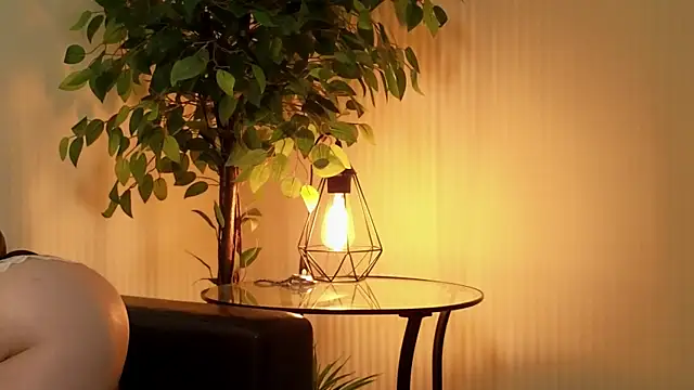 Risky dream online show from December 2024 12:55:01 PM