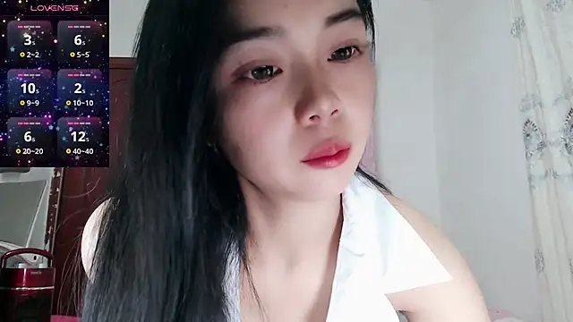 baoer-558 online show from December 2024 06:37:02 PM