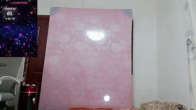 baoer-558 online show from December 2024 06:46:02 PM