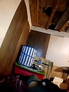 Snapshot of beliqi chatting on November 2025 05:49:01 AM beliqi online show from November 2025 05:49:01 AM