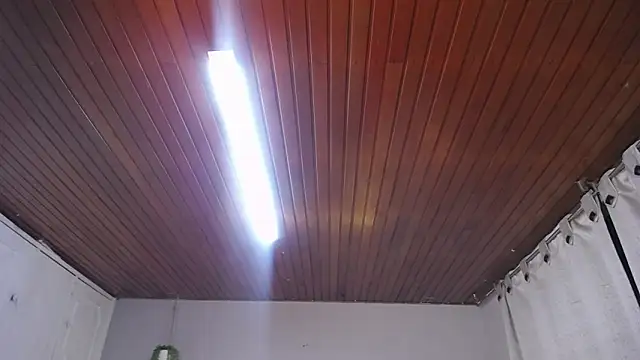 Snapshot of Scarllett_BDSM chatting on November 2025 05:10:01 AM Scarllett BDSM online show from November 2025 05:10:01 AM