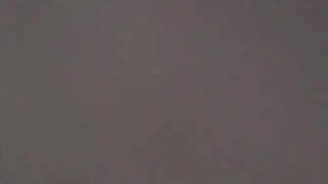 CaitlinaJayne23 online show from November 2025 06:13:01 AM