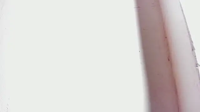 Snapshot of tifany_bigdick chatting on February 2025 12:43:01 AM tifany bigdick online show from February 2025 12:43:01 AM