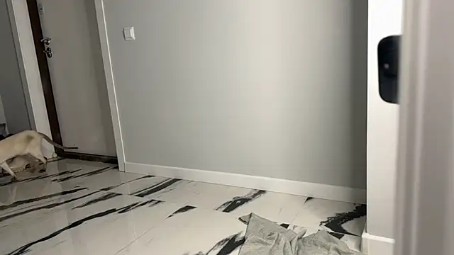 Snapshot of elisa_moon chatting on December 2024 05:06:01 AM elisa moon online show from December 2024 05:06:01 AM