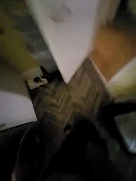 Snapshot of Polish41 chatting on March 2026 06:58:01 AM Polish41 online show from March 2026 06:58:01 AM