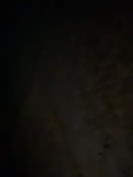 tripexnte online show from February 2025 06:39:01 AM