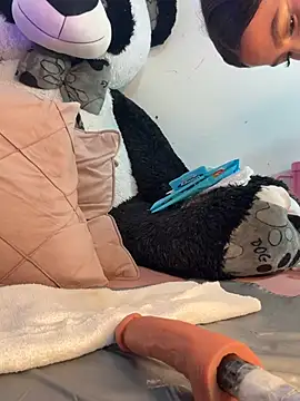 Snapshot of IamSteph13 chatting on March 2026 07:15:01 AM IamSteph13 online show from March 2026 07:15:01 AM