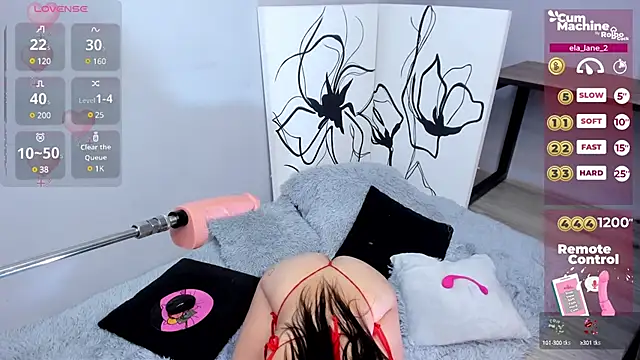 Snapshot of ela_lane_2 chatting on January 2025 12:45:02 PM ela lane 2 online show from January 2025 12:45:02 PM