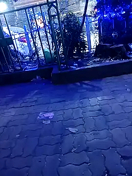 riyajfuckboy online show from December 2024 09:33:01 PM