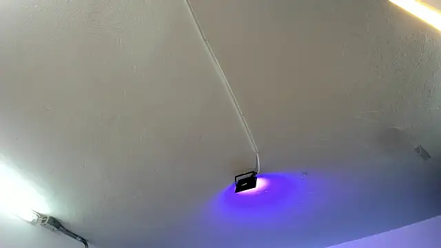 Snapshot of Amy_Kiitty_ chatting on November 2025 12:37:01 PM Amy Kiitty online show from November 2025 12:37:01 PM