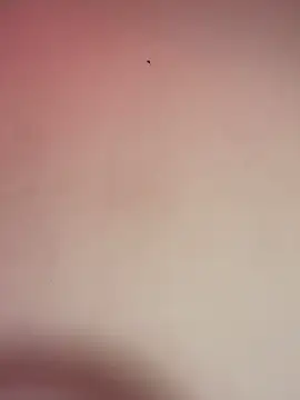  Chartlotte online show from December 2024 11:32:01 PM