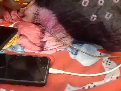 naina-80 online show from January 2025 07:43:02 AM