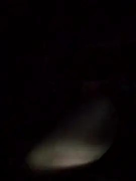 Snapshot of axelongshaft69 chatting on March 2026 12:53:01 PM axelongshaft69 online show from March 2026 12:53:01 PM