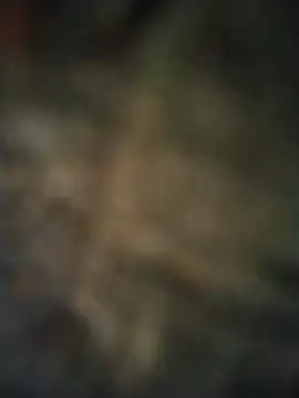 Snapshot of axelongshaft69 chatting on April 2026 06:52:02 PM axelongshaft69 online show from April 2026 06:52:02 PM