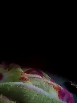 Gujrat player online show from January 2025 06:41:02 PM