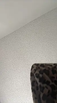 Snapshot of torilux chatting on February 2025 02:52:01 PM torilux online show from February 2025 02:52:01 PM