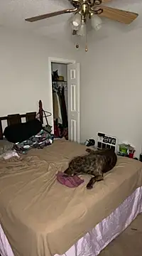 Snapshot of torilux chatting on February 2025 08:14:01 AM torilux online show from February 2025 08:14:01 AM