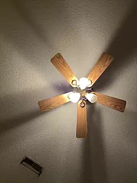 Snapshot of torilux chatting on February 2025 11:34:02 PM torilux online show from February 2025 11:34:02 PM