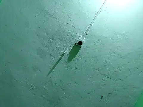 Snapshot of RADHAHO chatting on November 2025 09:50:02 PM RADHAHO online show from November 2025 09:50:02 PM