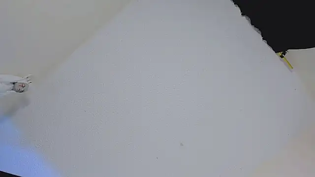 missycanoo online show from October 2025 12:44:01 AM