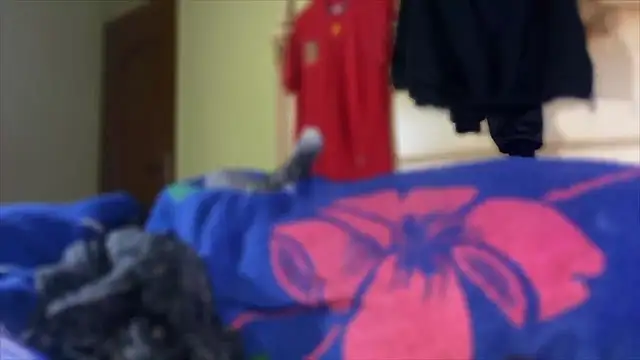 Snapshot of emylolo9 chatting on January 2025 01:47:01 PM emylolo9 online show from January 2025 01:47:01 PM