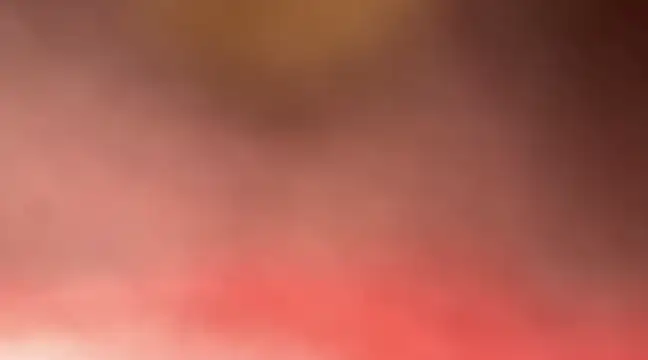 Snapshot of emylolo9 chatting on January 2025 02:39:02 AM emylolo9 online show from January 2025 02:39:02 AM