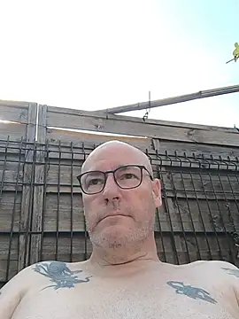 bogland33 online show from July 2026 08:17:01 AM