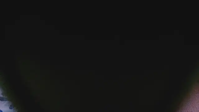 Snapshot of SashaBrianna99 chatting on March 2025 05:12:02 PM SashaBrianna99 online show from March 2025 05:12:02 PM