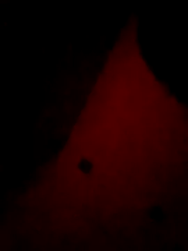 Mieto  online show from April 2026 03:20:02 AM