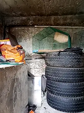 Elvishcassie  online show from October 2025 06:58:01 PM