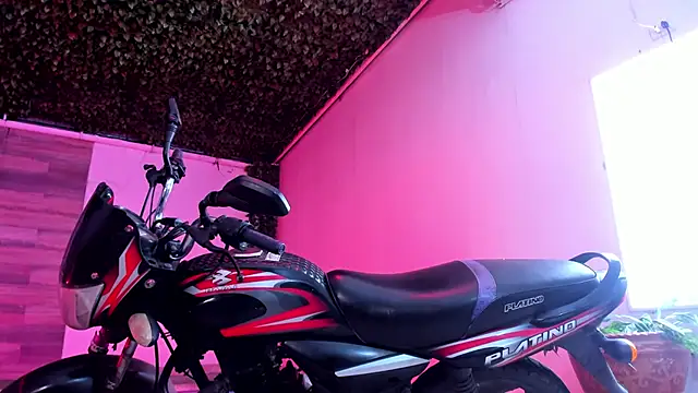 Snapshot of AkazaBoy_ chatting on December 2024 04:15:02 AM AkazaBoy  online show from December 2024 04:15:02 AM